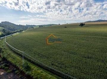 Imagem 1 · Fazenda para venda em Centro, Jacutinga