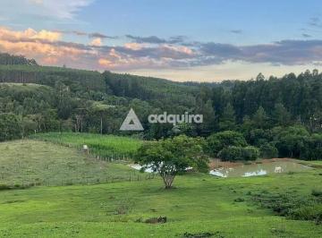Imagem 1 · Sítio para venda em Colônia Dona Luíza, Ponta Grossa