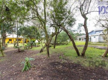 Imagem 1 · Sítio para venda em Lageado, Porto Alegre