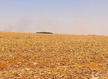 Imagem 1 · Fazenda para venda em Centro, Paranatinga