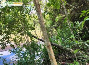 Imagem 1 · Terreno para venda em Centro, São Gabriel do Oeste