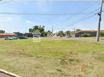 ded8e9ffbf80d2e0e6594114503c591e1f05c52a · Terreno à venda em Paulínia SP - João Aranha