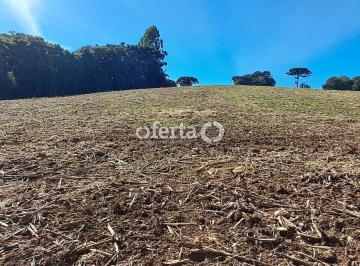 Rural · 96800m² · CHACARA EM ARAUCARIA - COLONIA MELADO