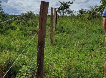 Rural , Ceilândia · Oportunidade única: Chácara no DF com 20 mil m² de terra cercada
