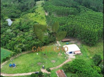 Foto 01 · Fazenda, Rural, Campo Largo, PR