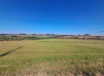 Foto 01 · ? OPORTUNIDADE! ÁREA RURAL À VENDA EM HOLAMBRA/SP ? Invista em uma excelente área rural na Cidade d
