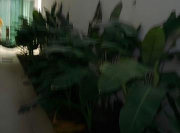 Casa · 4 Quartos · 4 Vagas · Casa à venda - em Aracaju