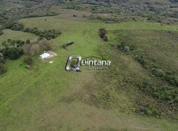 Rural · 1150000m² · Pinheiro Machado 115ha - Campo Pecuária ou reflorestamento