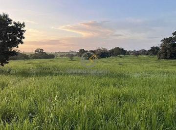Relevo predominantemente plano com árvores nativas preservadas e excelente distribuição de pasto. · Fazenda de 1.234 Hectares à Venda em General Carneiro MT