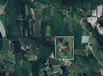 Terreno · Área de Terras na Linha Palmeiro/Julieta em Farroupilha/RS