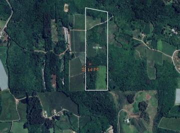 Terreno · Área de Terras na Linha Palmeiro/Julieta em Farroupilha/RS