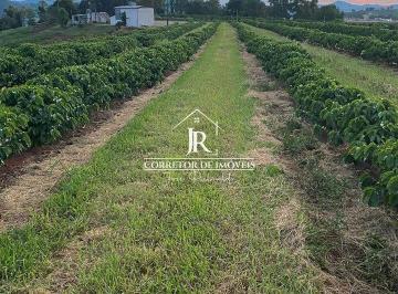 i1.jpg · FAZENDA DE CAFÉ À VENDA – PORTEIRA FECHADA