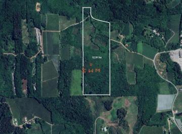 Terreno · Área de Terras na Linha Palmeiro/Julieta em Farroupilha/RS