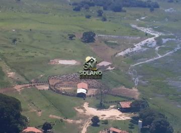 Rural · 88000m² · 3 Quartos · 10 Vagas · Fazenda a Venda no Pantanal de Poconé MT