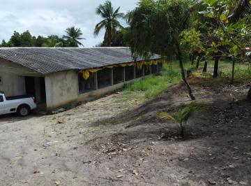 Rural · 3 Quartos · Rurais à venda - em São Cristóvão