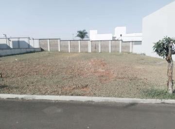 54b6cdd0317701e63f4897f618e021236c70242b · Terreno Residencial à venda, Água Branca, Piracicaba - TE0270.