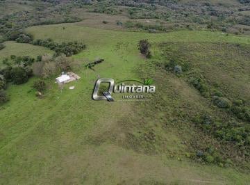 Imagem 1 · Fazenda para venda em Centro, Pinheiro Machado