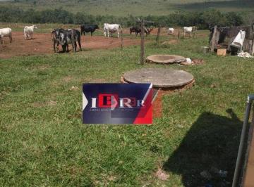 93dbb0ce35fadecd4616c98d69db83ddedf430af · Fazenda em Nova Andradina - MS