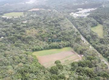 Comercial · 38800m² · Área Industrial em Centro, na BR 277 - Balsa Nova/PR SENTIDO CTBA