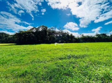 9f9c11d50a050b974d09a6243eb6f3928c116e20 · Terreno à venda, 722 m² por R$ 3.250.000,00 - Riviera de São Lourenço - Bertioga/SP