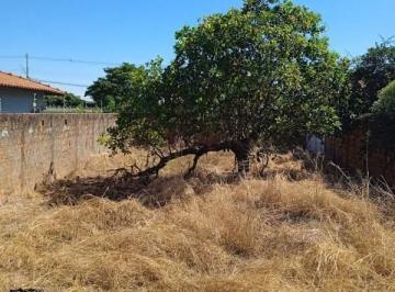 Terreno · 250m² · Terreno para venda em Concórdia I de 250.00m²