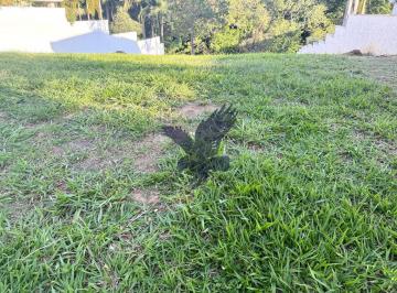 0 · Terreno a venda no condomínio Alphaville Campinas 1.650 M2 fundo para mata nativ