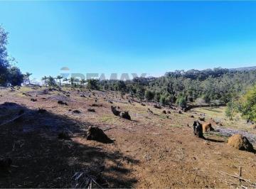 Terreno · 35000m² · Terreno Industrial de 35.000 m² com Excelente Acesso às Principais Rodovias