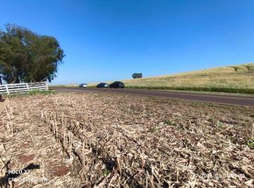 Rural · 40000m² · VENDA | Chácara,  em Aquidaban, Marialva