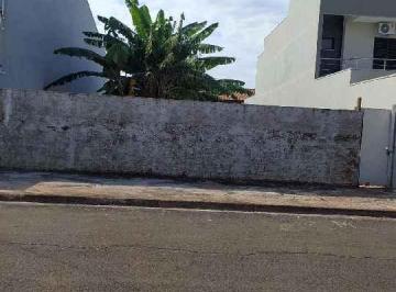 Terreno · 384m² · Terreno para venda em Jardim Jacyra de 384.00m²