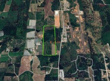 Terreno · Área de Terra na Linha Palmeiro em Farroupilha/RS