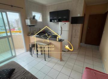Apartamento · 32m² · 1 Quarto · 1 Vaga · Maravilhoso Apartamento Kitinete à Venda na Caiçara, Praia Grande - 1 Quarto