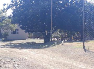 Rural · 150m² · 3 Quartos · Fazenda / Sítio para venda em Loteamento Arace De Santo Antonio I de 150.00m² com 3 Quartos