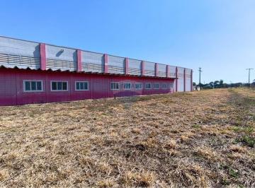 Comercial · 2900m² · Galpão / Depósito / Armazém para alugar em Distrito Industrial Ii de 2900.00m²