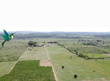 Rural · 74m² · 6 Quartos · Fazenda / Sítio para venda em Zona Rural de 74.00m² com 6 Quartos