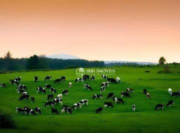 a3aad9d4649fffe5416996710e688fadcd45f3f1 · fazenda,  porteira fechada  18.388 alqueirões  pasto