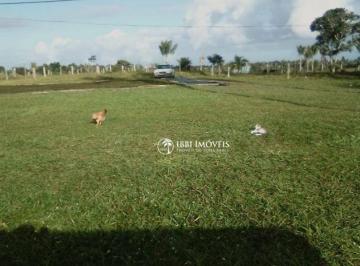 c6fc764487cdfd21fce37855872f67bec153a4d8 · Fazenda sul da Bahia 100 he para pasto
