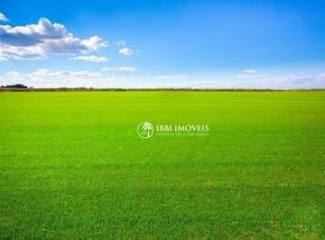 39932b41bc93f108973b4ecfe0f4bb341a9d161d · Fazenda de Pasto 86.000 HECTARES Porteira Fechada