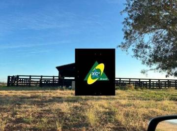af225a6c3b92ee28f9fde9e15a5849039ba42db5 · Fazenda à venda, 10580000 m² por R$ 28.000.000 - Zona Rural - Canarana/MT