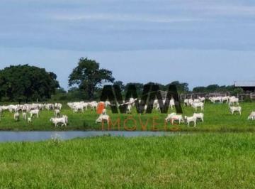 Imagem 1 · Fazenda para venda em Centro, Miranda