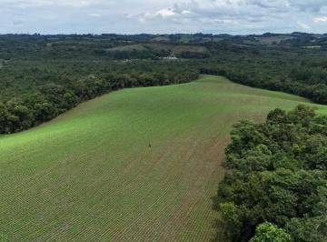 Rural · 242000m² · 1 Quarto · Fazenda / Sítio para venda em Rio Verde Abaixo de 242000.00m² com 1 Quarto