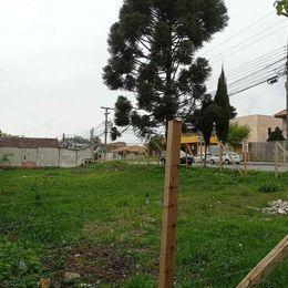 Terreno · 494m² · Terreno para venda em Pinheirinho de 494.00m²