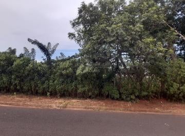 Terreno · 1168m² · Terreno para venda em Jardim Marialice de 1168.00m²