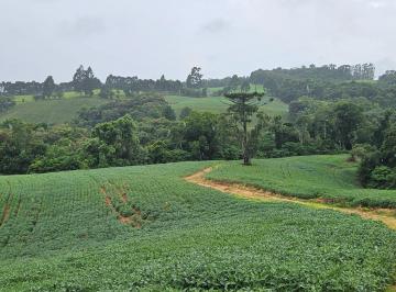 Terreno · 79000m² · 1 Quarto · Chácara para venda em Zona Rural de 79000.00m² com 1 Quarto