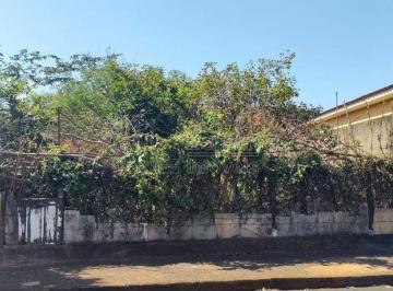 Terreno · 300m² · Terreno para venda em Vila Suconasa de 300.00m²