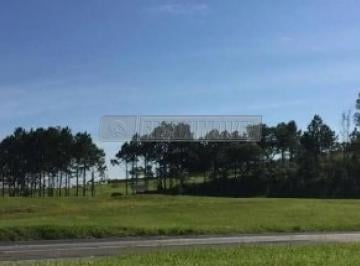 Comercial · 10900m² · Imóvel Comercial para alugar em Éden de 10900.00m²