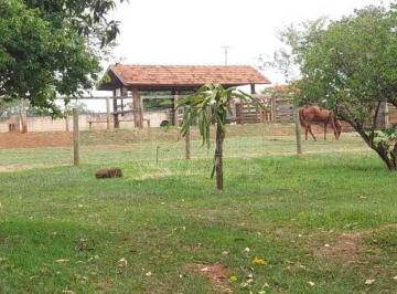 Rural · 400m² · 3 Quartos · Fazenda / Sítio para venda em Recreio Campestre Idanorma de 400.00m² com 3 Quartos e 1 Suite