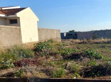 Terreno · 482m² · Terreno para venda em Santa Angelina de 482.00m²