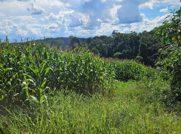 Terreno · 36400m² · 1 Quarto · Chácara para venda em Zona Rural de 36400.00m² com 1 Quarto