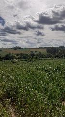 Rural · 25m² · 1 Quarto · Fazenda / Sítio para venda em Área Rural De Mogi Mirim de 25.00m² com 1 Quarto