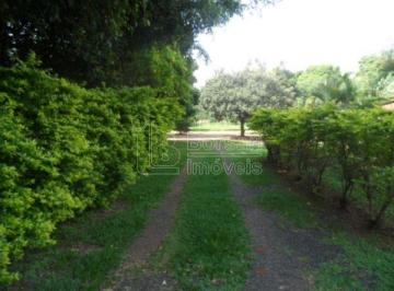 Rural · 185m² · 3 Quartos · Fazenda / Sítio para venda em Jardim Zavanella de 185.00m² com 3 Quartos